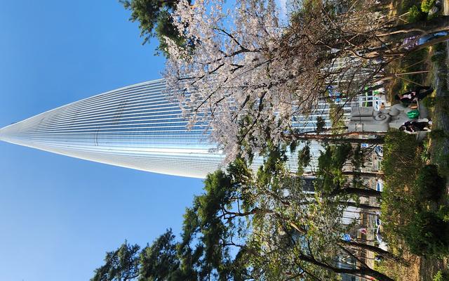 리뷰 대표 이미지