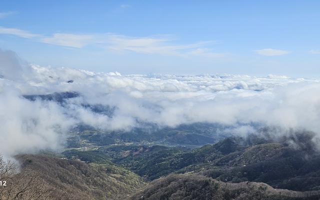 리뷰 대표 이미지