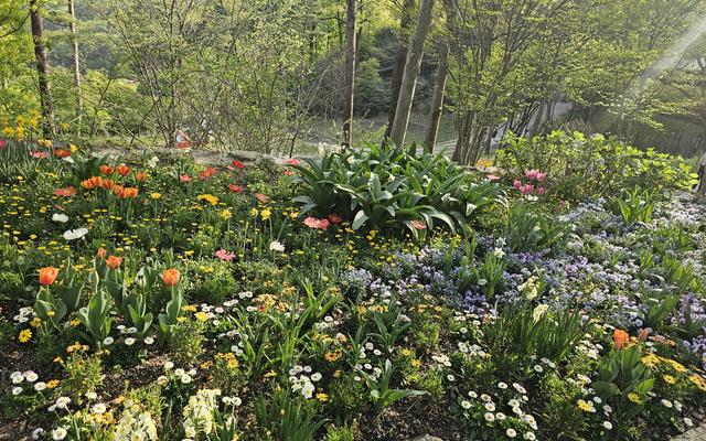 리뷰 대표 이미지