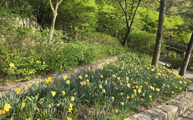 리뷰 대표 이미지