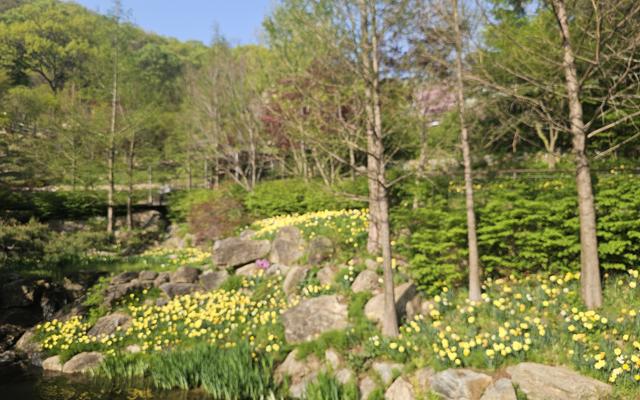 리뷰 대표 이미지