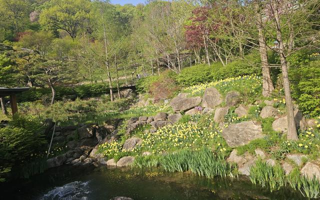 리뷰 대표 이미지