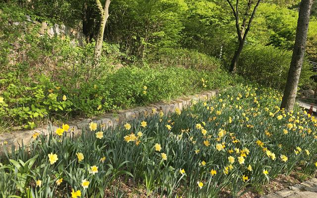 리뷰 대표 이미지