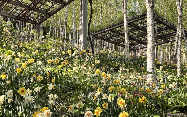 리뷰 대표 이미지