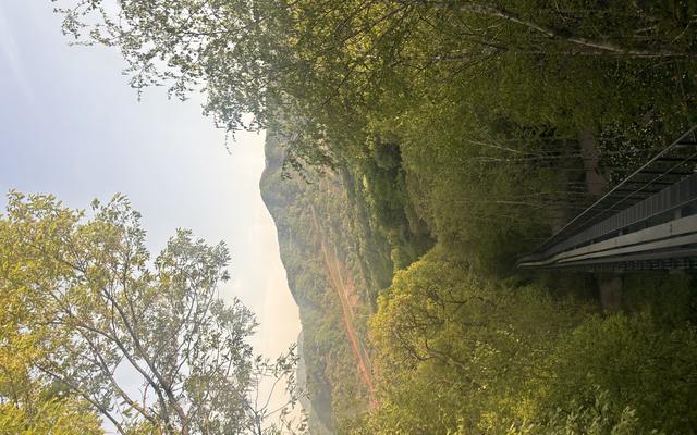 리뷰 대표 이미지