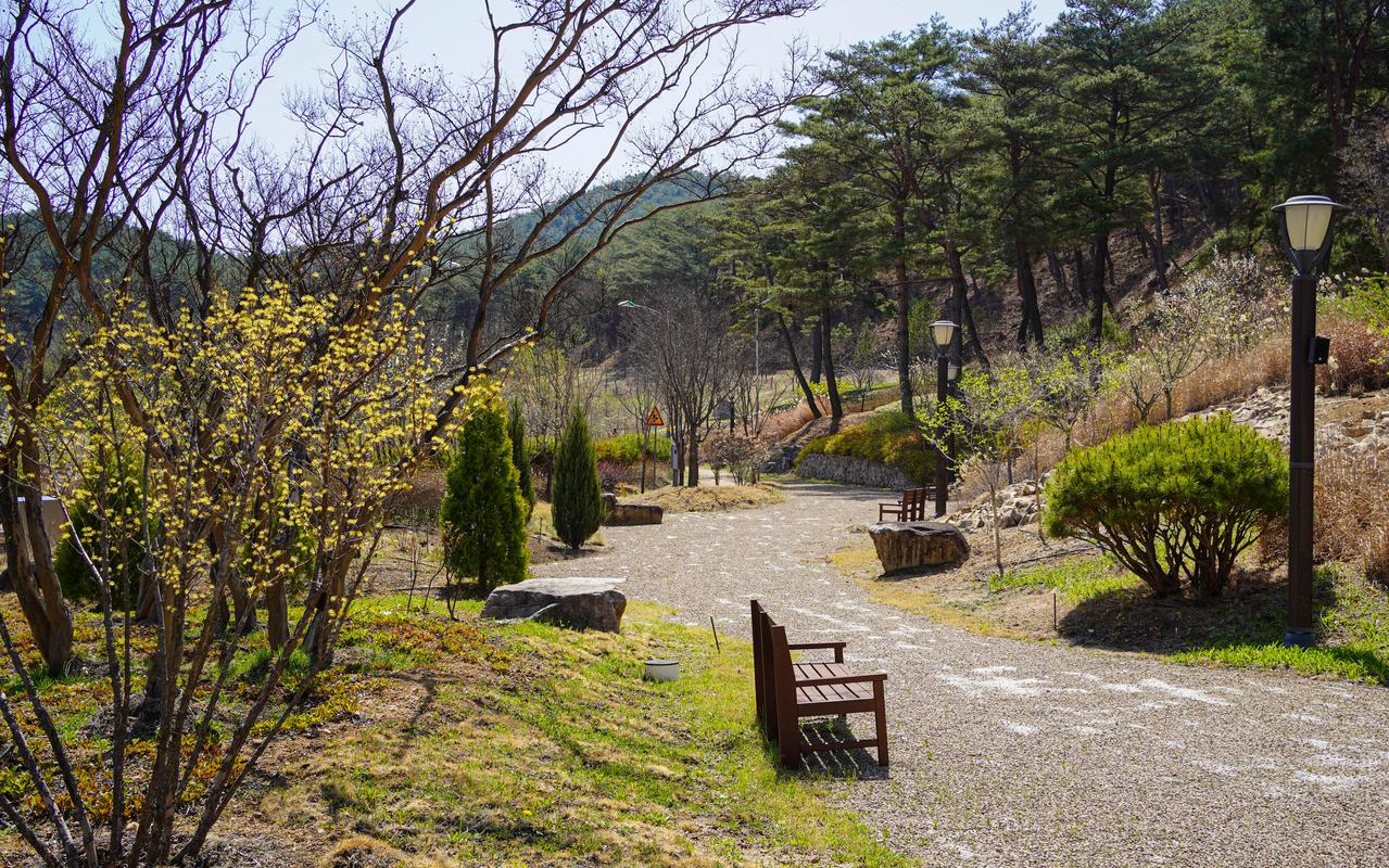 청송 한옥호텔 안(安) 사진