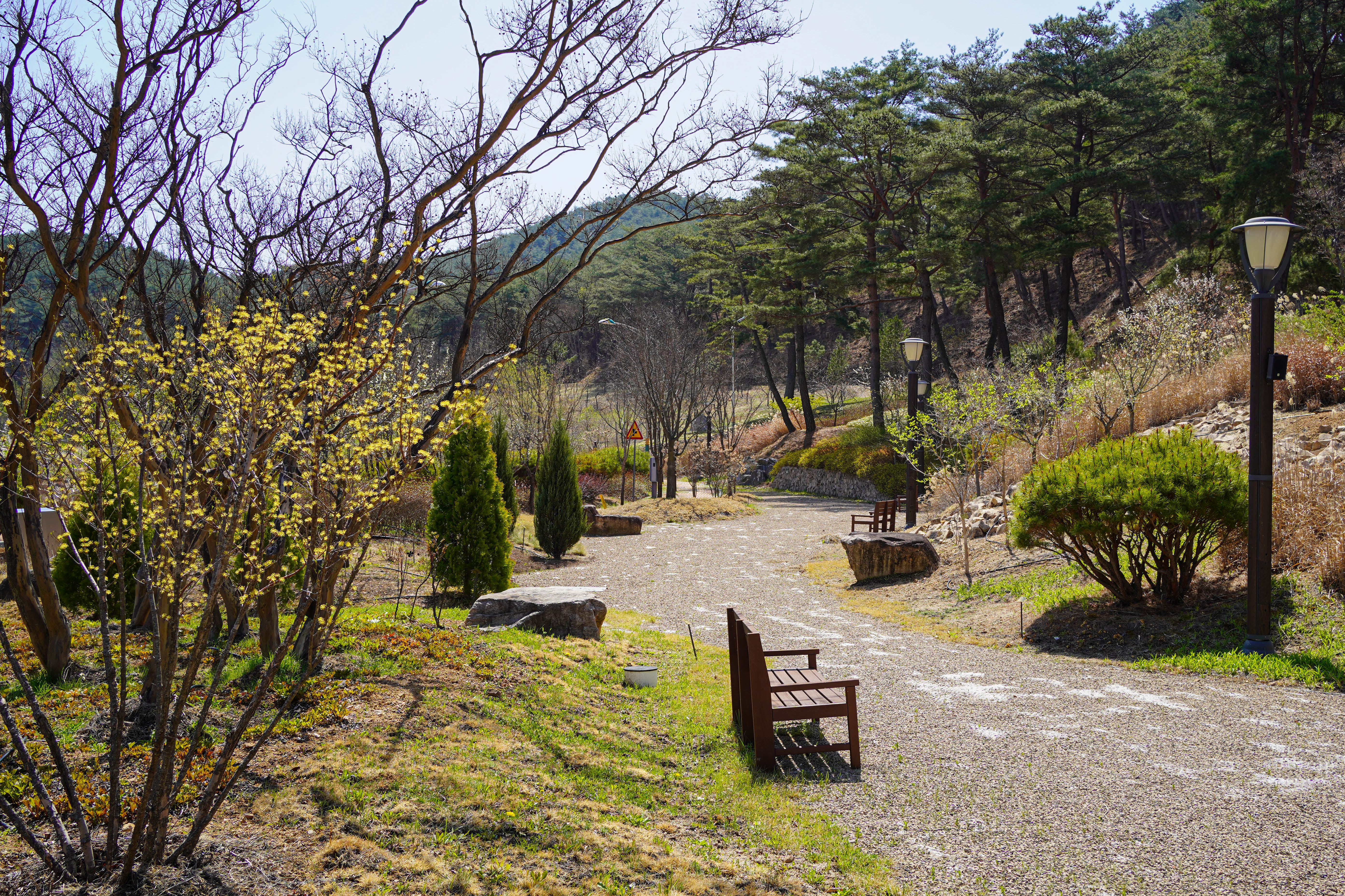청송 한옥호텔 안(安) 사우나·스파