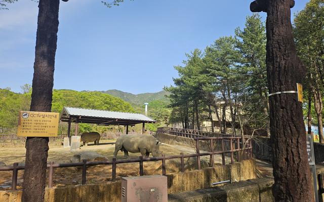 리뷰 대표 이미지