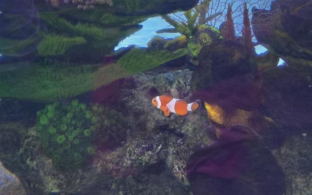 리뷰 대표 이미지