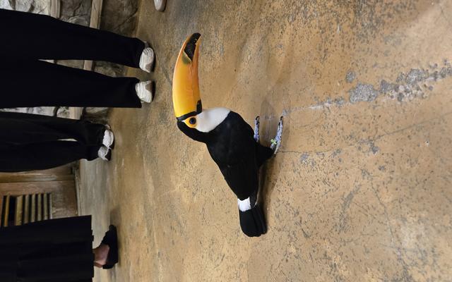 리뷰 대표 이미지