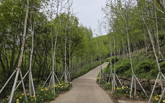 리뷰 대표 이미지