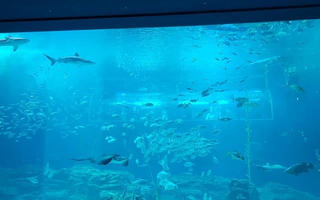 리뷰 대표 이미지