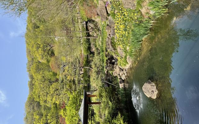 리뷰 대표 이미지