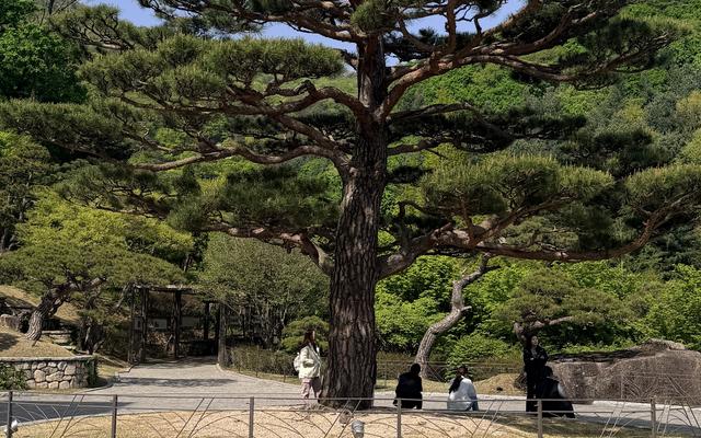 리뷰 대표 이미지