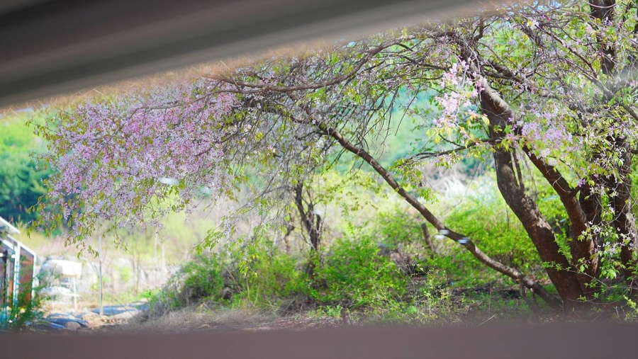 https://yaimg.yanolja.com/v5/2026/04/22/07/69e87969edba31.74953547.jpg