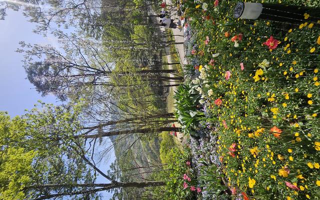 리뷰 대표 이미지