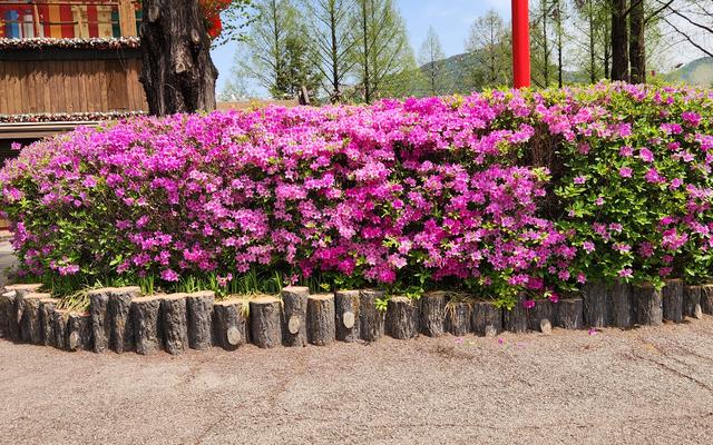 리뷰 대표 이미지