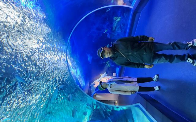 리뷰 대표 이미지