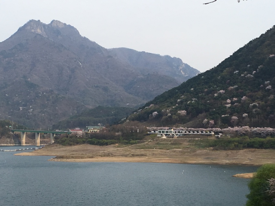https://yaimg.yanolja.com/v5/2026/04/23/05/69e9ab987bced9.36597970.jpg