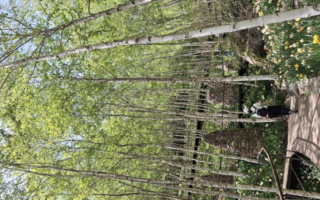 리뷰 대표 이미지