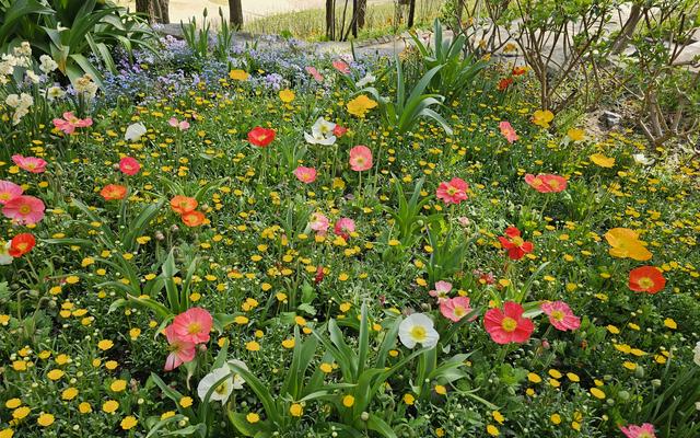 리뷰 대표 이미지