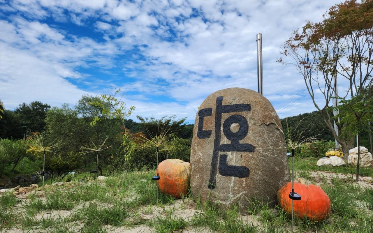 예산 다온팜캠핑장 사진