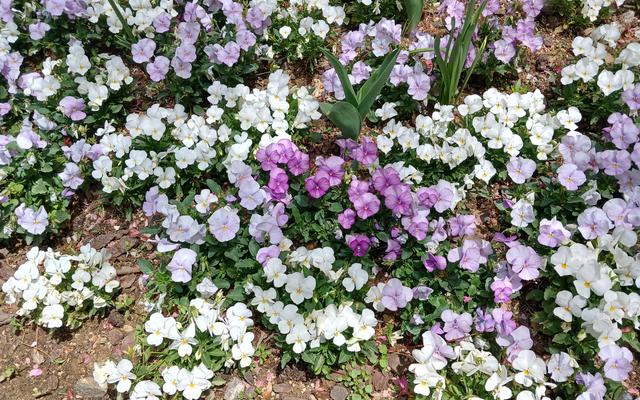 리뷰 대표 이미지