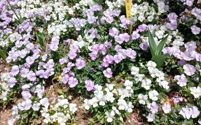 리뷰 대표 이미지