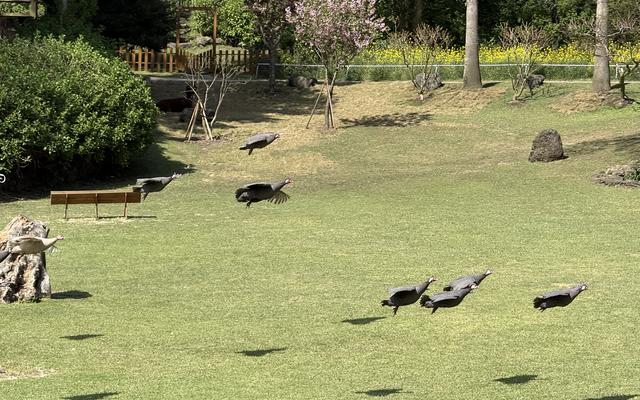 리뷰 대표 이미지