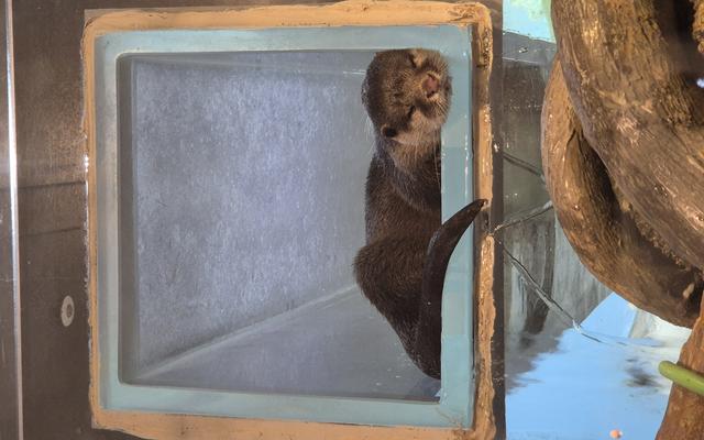 리뷰 대표 이미지