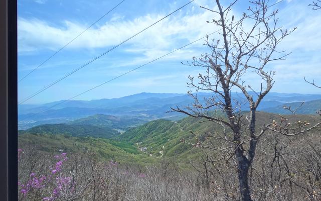 리뷰 대표 이미지