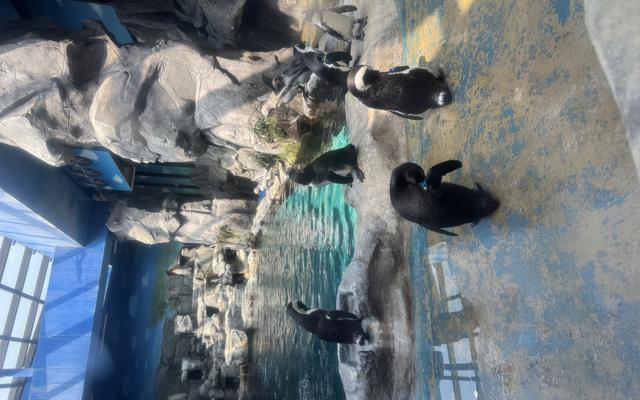 리뷰 대표 이미지