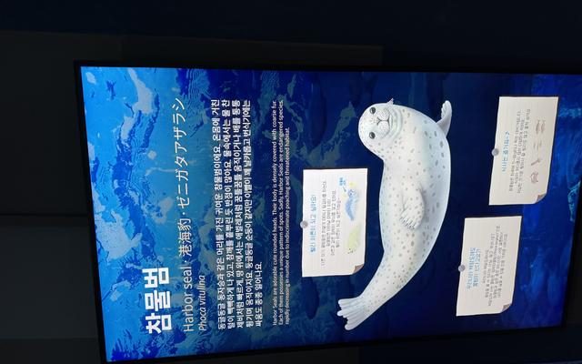 리뷰 대표 이미지