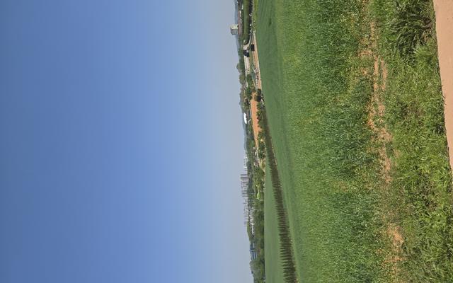 리뷰 대표 이미지