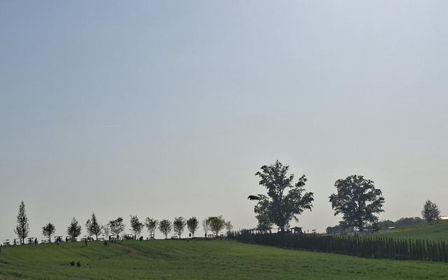 리뷰 대표 이미지