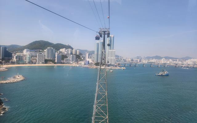 리뷰 대표 이미지