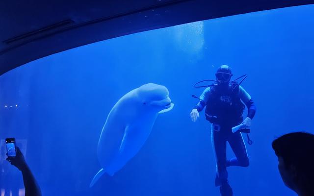 리뷰 대표 이미지