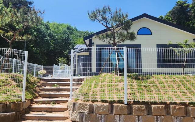 세종 에브리댕댕스테이