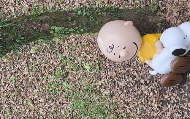 리뷰 대표 이미지