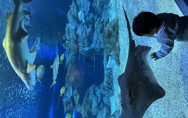 리뷰 대표 이미지