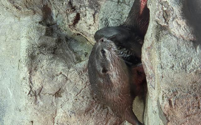 리뷰 대표 이미지