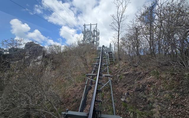 리뷰 대표 이미지