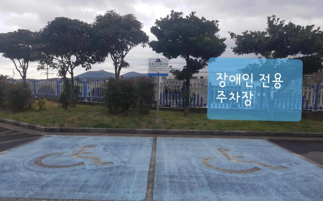 Jeju Pearly Hotel photo 4
