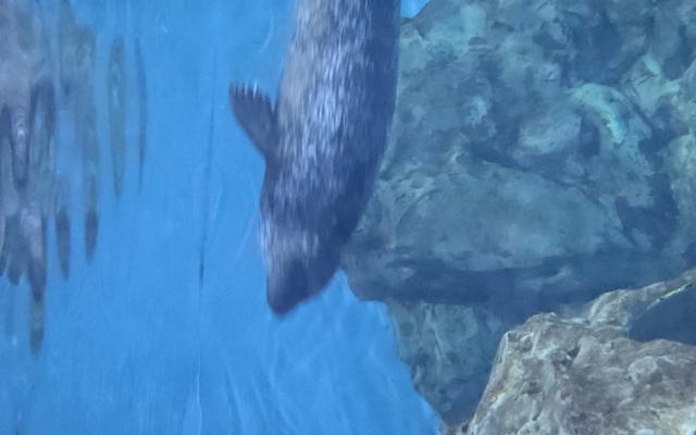 리뷰 대표 이미지