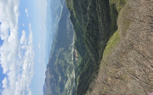 리뷰 대표 이미지