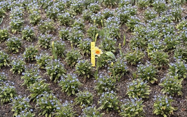 리뷰 대표 이미지