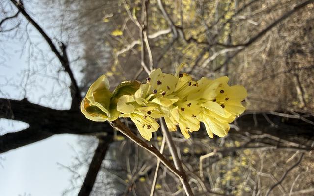 리뷰 대표 이미지