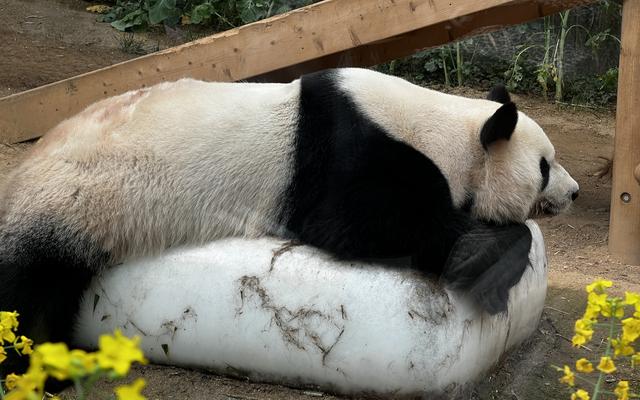 리뷰 대표 이미지