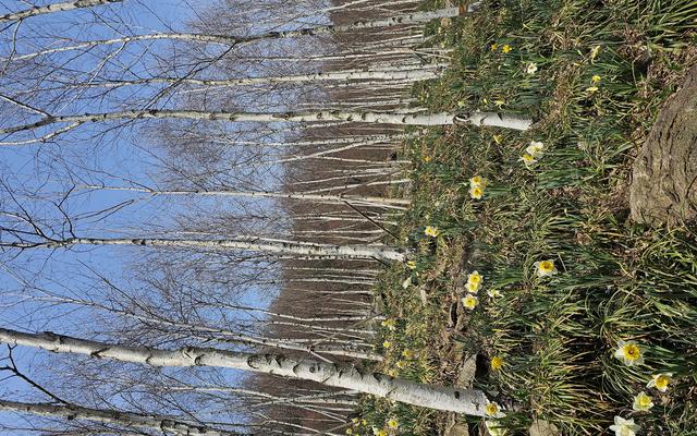 리뷰 대표 이미지