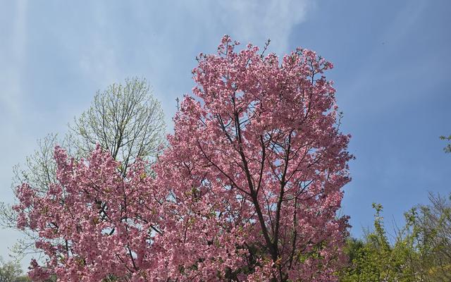 리뷰 대표 이미지